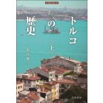 トルコの歴史 上 刀水歴史全書 / 永田雄三  〔全集・双書〕