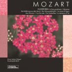 Mozartmo-tsaruto/... сборник oto Maar * acid тонер &shuta-tsuka Pele * Berlin записано в Японии (CD)