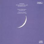 Mendelssohn men Dell s Zone / подлинный лето. ночь. сон, ласты garu. ..gyunta-*he рубин hi&shuta-tsuka Pele *