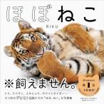 ほぼねこ ネコ科の猛獣たちのネコみたいな写真集 / RIKU  〔本〕