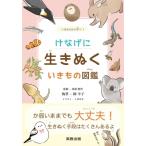 ke... сырой .... кимоно иллюстрированная книга . кимоно из ..! / лошадь место . мужчина (книга@)