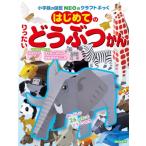  впервые . клей . хочет ...... Shogakukan Inc.. иллюстрированная книга NEO. craft .../ бог . правильный добродетель (книга@)