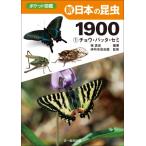  новый японский насекомое 1900 1chou*bata* semi карман иллюстрированная книга /. подлинный история ( иллюстрированная книга )