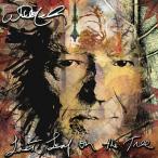 Willie Nelson Willie Nelson / Last Leaf On The Tree зарубежная запись (CD)
