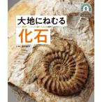 большой земля .... окаменелость Япония ряд остров 5 сто миллионов год. . большой земля. visual большой иллюстрированная книга / рисовое поле средний . flat (книга@)
