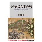 小牧・長久手合戦 秀吉と家康、天下分け目の真相 角川新書 / 平山優  〔新書〕