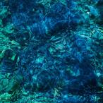青葉市子 アオバイチコ / Luminescent Creatures  〔CD〕