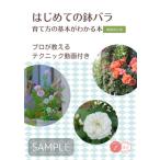 はじめての鉢バラ　育て方の基本がわかる本 コツがわかる本 / 後藤みどり  〔本〕