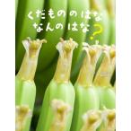 ku. было использовано.. ..... .? 4...../ Miyazaki ..( книга с картинками )