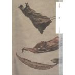 .. сборник / большой ..(книга@)