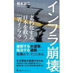 インフラ崩壊 老朽化する日本を救う「省インフラ」 日経プレミアシリーズ / 根本祐二  〔新書〕