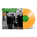 輸入盤 GREEN DAY/WARNING （25TH ANNIVERSARY EDITION） [LP] - 最