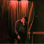 Dan Whitlam / Strangers (Again) (Bottle Green Vinyl)  〔LP〕