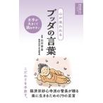 心が洗われる ブッダの言葉 明日の道しるべシリーズ / 山川宗玄  〔本〕