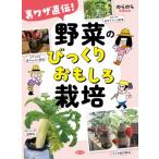 裏ワザ直伝!野菜のびっくりおもしろ栽培 のらのらブックス / 農文協  〔本〕