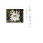  поэзия сборник цветок став хочет /... Lilly (книга@)