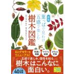  лист ... видеть ... чувство . приятный дерево иллюстрированная книга /...( иллюстрированная книга )