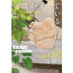 彼が愛しているのは ディアプラス文庫 / 安西リカ  〔文庫〕