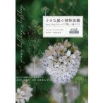小さな庭の植物図鑑 Lucy　Grayのシックで美しい庭づくり / 杉山洋  〔本〕