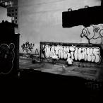 Ace the Chosen onE &amp;sgiu лестница b/ KATAMIWAKE feat.*E"qual &amp;. ткань Karma (12 дюймовый аналог запись ) (12in)