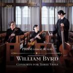 Byrd bird / 3 голос. консоль -to сборник p ритм * консоль -to*ob*va Io ruz записано в Японии (CD)