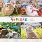 �������ƕ�炷calendar 2027 / �������ƕ�炷�ҏW��  �k�{�l