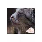 ちょっとネコぼけ / 岩合光昭  〔本〕