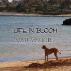 MATT MACKEREL / LIFE IN BLOOM  〔CD〕