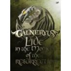 Galneryus ガルネリウス /  LIVE IN THE MOMENT OF THE RESURRECTION  〔DVD〕