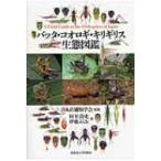 バッタ・コオロギ・キリギリス生態図鑑 / 村井貴史  〔本〕