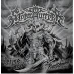 Stormhunter / Crime And Punishment 国内盤 〔CD〕