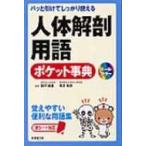 パッと引けてしっかり使える人体解剖用語ポケット事典 / 坂井建雄  〔本〕