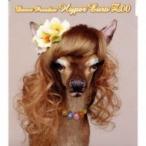 Zoo ズー / Dance Paradise Hyper Euro ZOO  〔CD Maxi〕