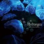 a crowd of rebellion / Hydrangea (CD)