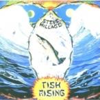Steve Hillage スティーブヒラッジ / Fish Rising   〔LP〕