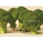MINIATURE LIFE ミニチュアライフ / MINIATURE CALENDAR  〔本〕