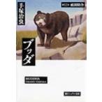 ブッダ 第11巻 潮ビジュアル文庫 / 手塚治虫 テヅカオサム  〔文庫〕