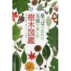 葉っぱで見わけ五感で楽しむ樹木図鑑 / ネイチャー・プロ編集室  〔図鑑〕