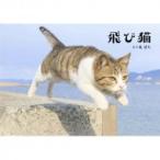 飛び猫 / 五十嵐健太  〔本〕