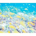 彩りの海 / 鍵井靖章  〔本〕