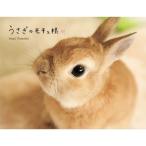 うさぎのモキュ様 / Tomoko Imai  〔本〕