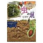 ずかん　虫の巣 見ながら学習調べてなっとく / 安田守  〔図鑑〕