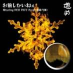 遊助 (上地雄輔) カミジユウスケ / お前しかいねぇ 遊turing RED RICE《from湘南乃風》  〔CD Maxi〕