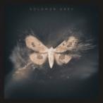 Solomon Grey / Solomon Grey   〔LP〕