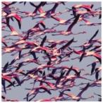 Deftones диф цветный z/ Gore зарубежная запись (CD)
