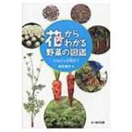 花からわかる野菜の図鑑 たねから収穫まで / 亀田龍吉  〔本〕
