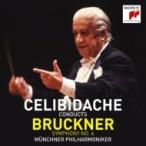 Bruckner ブルックナー / 交響曲第6番　セルジウ・チェリビダッケ &amp; ミュンヘン・フィル 国内盤 〔CD〕