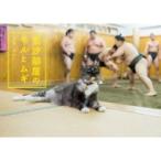 荒汐部屋のモルとムギ / 荒汐部屋  〔本〕