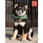 和風総本家十八代目豆助オフィシャルフォトブック / 新紀元社編集部  〔本〕