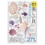 原寸で楽しむ美しい貝　図鑑 & 採集ガイド 大人のフィールド図鑑 / 池田等  〔本〕